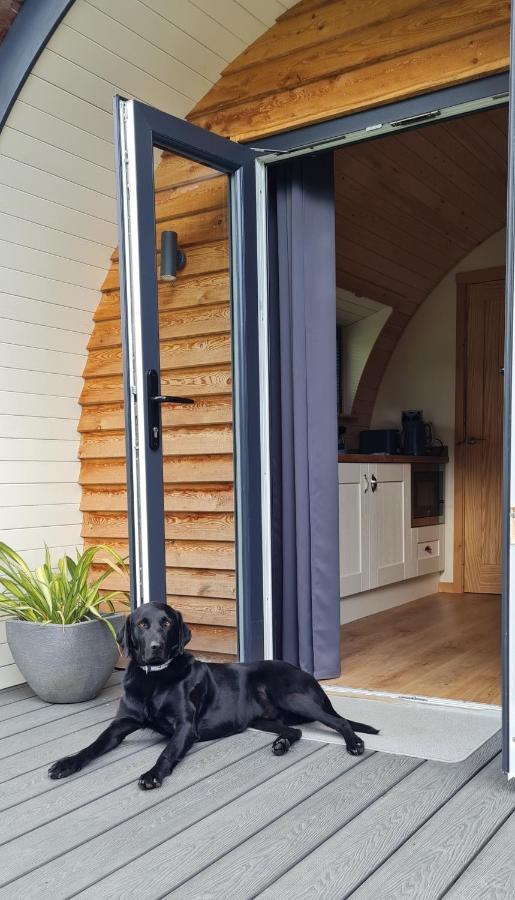 Habberley Glamping Pods Hotel ชรูว์สเบอรี ภายนอก รูปภาพ